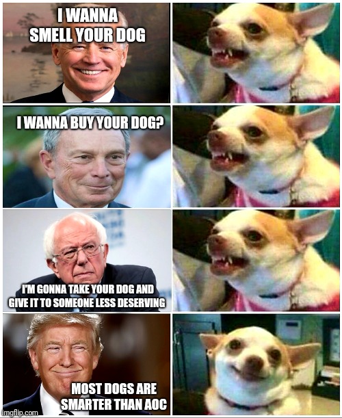 Man's best friend. | I WANNA SMELL YOUR DOG; I WANNA BUY YOUR DOG? I'M GONNA TAKE YOUR DOG AND GIVE IT TO SOMEONE LESS DESERVING; MOST DOGS ARE SMARTER THAN AOC | image tagged in dog,trump 2020,michael bloomberg,joe biden,bernie sanders,maga | made w/ Imgflip meme maker