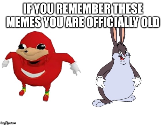 Blank White Template | IF YOU REMEMBER THESE MEMES YOU ARE OFFICIALLY OLD | image tagged in blank white template | made w/ Imgflip meme maker