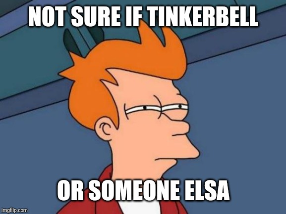 Futurama Fry Meme | NOT SURE IF TINKERBELL OR SOMEONE ELSA | image tagged in memes,futurama fry | made w/ Imgflip meme maker