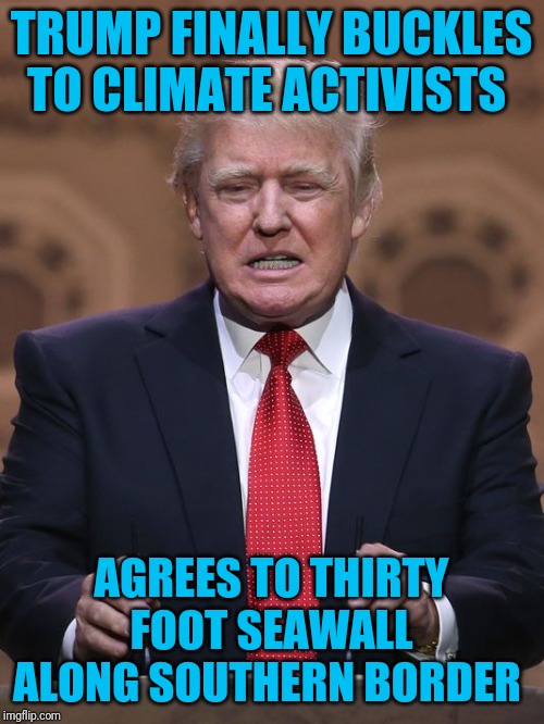 He was overwhelmed by their 50 years of scientific data. | TRUMP FINALLY BUCKLES TO CLIMATE ACTIVISTS; AGREES TO THIRTY FOOT SEAWALL ALONG SOUTHERN BORDER | image tagged in donald trump,border wall,climate change | made w/ Imgflip meme maker