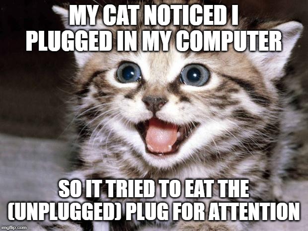 Uber Cute Cat | MY CAT NOTICED I PLUGGED IN MY COMPUTER; SO IT TRIED TO EAT THE (UNPLUGGED) PLUG FOR ATTENTION | image tagged in uber cute cat | made w/ Imgflip meme maker