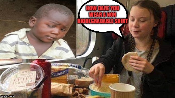 greta on train | HOW DARE YOU WEAR A NON BIODEGRADABLE SHIRT | image tagged in third world skeptical kid,greta thunberg how dare you | made w/ Imgflip meme maker