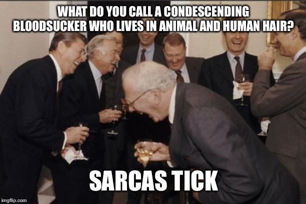 Laughing Men In Suits Meme | WHAT DO YOU CALL A CONDESCENDING BLOODSUCKER WHO LIVES IN ANIMAL AND HUMAN HAIR? SARCAS TICK | image tagged in memes,laughing men in suits | made w/ Imgflip meme maker