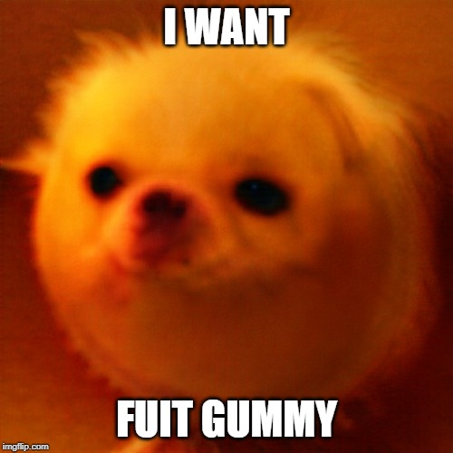 I WANT; FUIT GUMMY | image tagged in fuit gummy,fuit,gummy | made w/ Imgflip meme maker