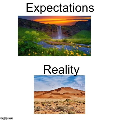 If Humans went extinct... | Expectations; Reality | image tagged in memes,blank transparent square,expectations vs reality,expectation vs reality,humans,nature | made w/ Imgflip meme maker