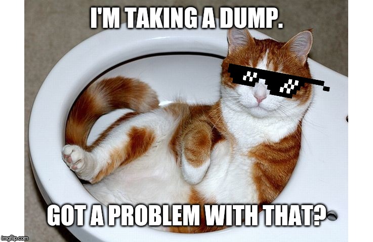 Funny Cat | I'M TAKING A DUMP. GOT A PROBLEM WITH THAT? | image tagged in funny cat,memes,cats,funny cat memes,cat memes,dank memes | made w/ Imgflip meme maker