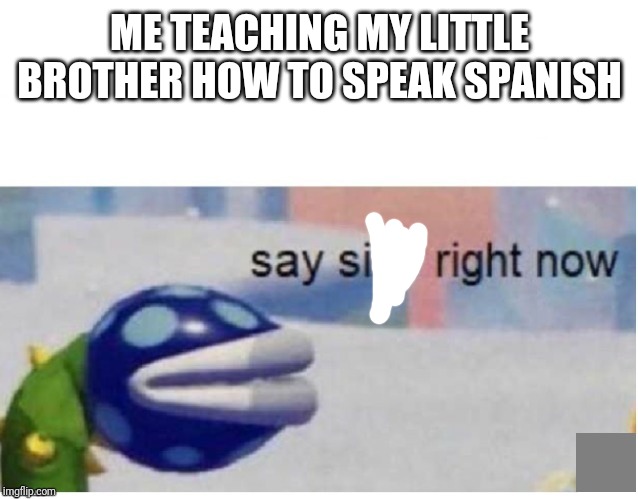 Sike you thought in spanish