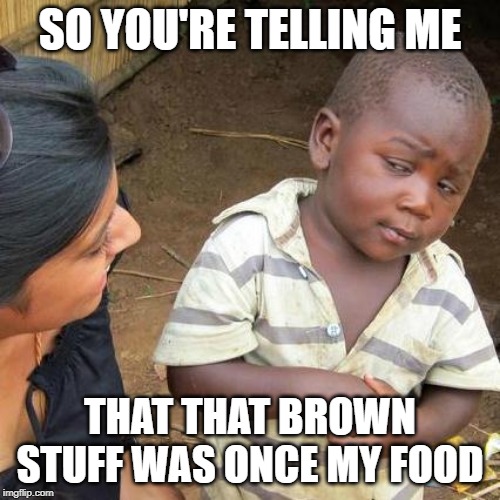 Third World Skeptical Kid | SO YOU'RE TELLING ME; THAT THAT BROWN STUFF WAS ONCE MY FOOD | image tagged in memes,third world skeptical kid | made w/ Imgflip meme maker