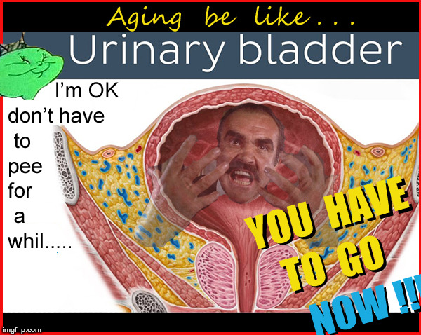 Getting old....your bladder ....and you | image tagged in aging,peeing,lol,so true memes,sean connery,funny memes | made w/ Imgflip meme maker