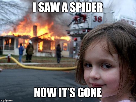 Disaster Girl | I SAW A SPIDER; NOW IT’S GONE | image tagged in memes,disaster girl | made w/ Imgflip meme maker
