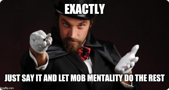 Household Magician | EXACTLY JUST SAY IT AND LET MOB MENTALITY DO THE REST | image tagged in household magician | made w/ Imgflip meme maker