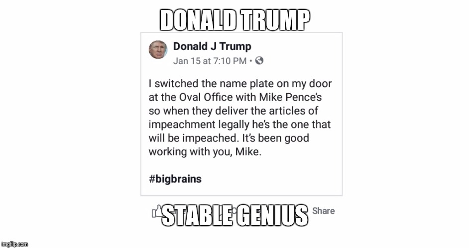 The Stable Genius | DONALD TRUMP; STABLE GENIUS | image tagged in donald trump,president trump,never trump | made w/ Imgflip meme maker