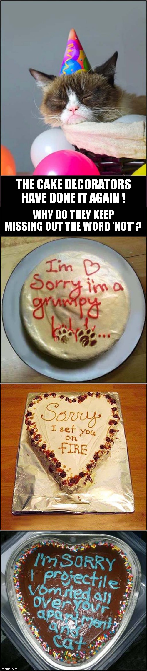 Grumpys Further Cake Disappointment | THE CAKE DECORATORS HAVE DONE IT AGAIN ! WHY DO THEY KEEP MISSING OUT THE WORD 'NOT' ? | image tagged in fun,grumpy cat,cakes | made w/ Imgflip meme maker