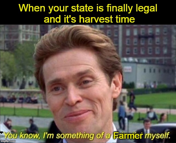 You know, I'm something of a scientist myself | When your state is finally legal
 and it's harvest time; Farmer | image tagged in you know i'm something of a scientist myself,Michigents | made w/ Imgflip meme maker