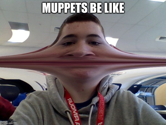 photobooth fun | MUPPETS BE LIKE | image tagged in memes,fun,funny,muppets | made w/ Imgflip meme maker