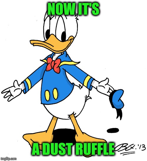 donald duck shrugs | NOW IT'S A DUST RUFFLE | image tagged in donald duck shrugs | made w/ Imgflip meme maker