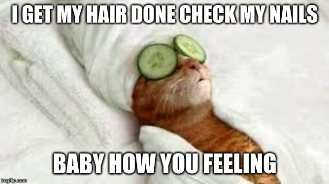 I GET MY HAIR DONE CHECK MY NAILS; BABY HOW YOU FEELING | image tagged in cats | made w/ Imgflip meme maker