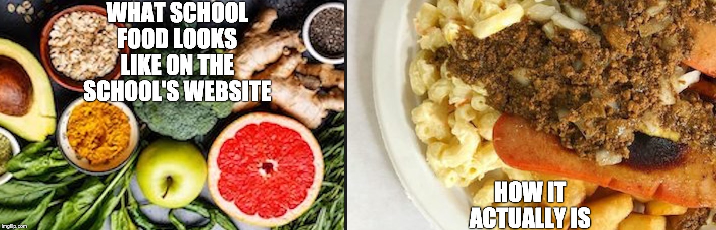 school food | WHAT SCHOOL FOOD LOOKS LIKE ON THE SCHOOL'S WEBSITE; HOW IT ACTUALLY IS | image tagged in funny,fun,school,school meme | made w/ Imgflip meme maker