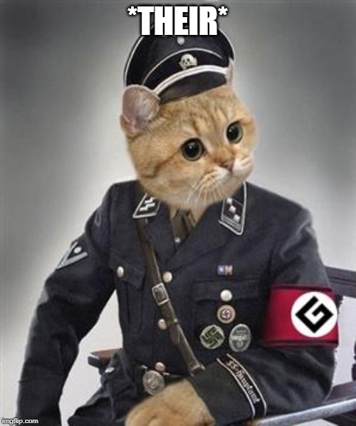 Grammar Nazi Cat | *THEIR* | image tagged in grammar nazi cat | made w/ Imgflip meme maker