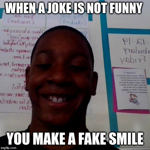 my meme | WHEN A JOKE IS NOT FUNNY; YOU MAKE A FAKE SMILE | image tagged in funny memes | made w/ Imgflip meme maker