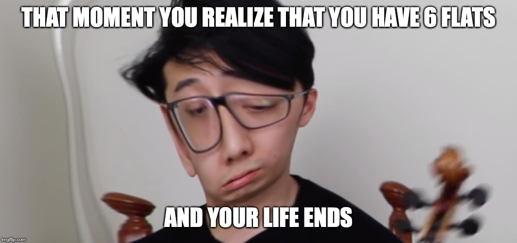 THAT MOMENT YOU REALIZE THAT YOU HAVE 6 FLATS; AND YOUR LIFE ENDS | image tagged in music | made w/ Imgflip meme maker