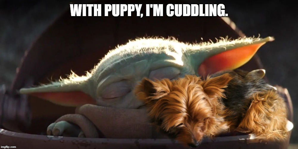 WITH PUPPY, I'M CUDDLING. | image tagged in baby yoda | made w/ Imgflip meme maker