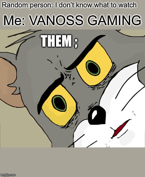 Unsettled Tom Meme | Random person: I don’t know what to watch Me: VANOSS GAMING THEM ; | image tagged in memes,unsettled tom | made w/ Imgflip meme maker