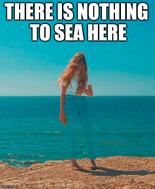 Nice job making your girlfriend disappear. |  THERE IS NOTHING 
TO SEA HERE | image tagged in invisibility,camouflage,disappeared | made w/ Imgflip meme maker