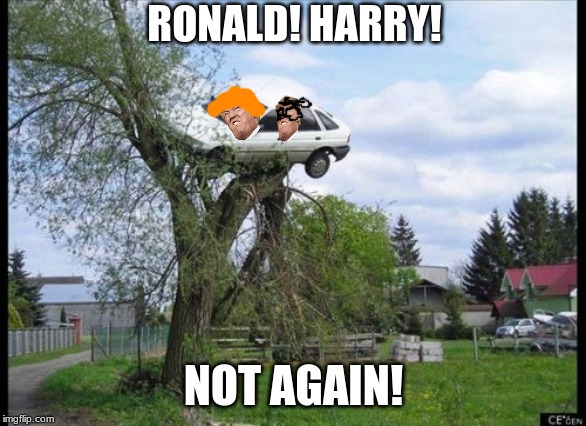 Secure Parking | RONALD! HARRY! NOT AGAIN! | image tagged in memes,secure parking | made w/ Imgflip meme maker