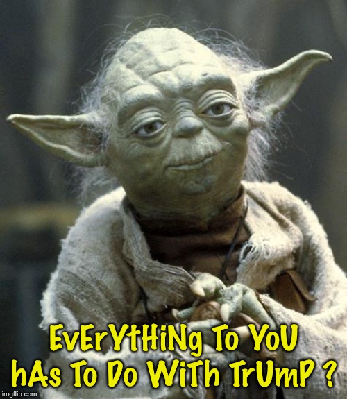 yoda | EvErYtHiNg To YoU hAs To Do WiTh TrUmP ? | image tagged in yoda | made w/ Imgflip meme maker