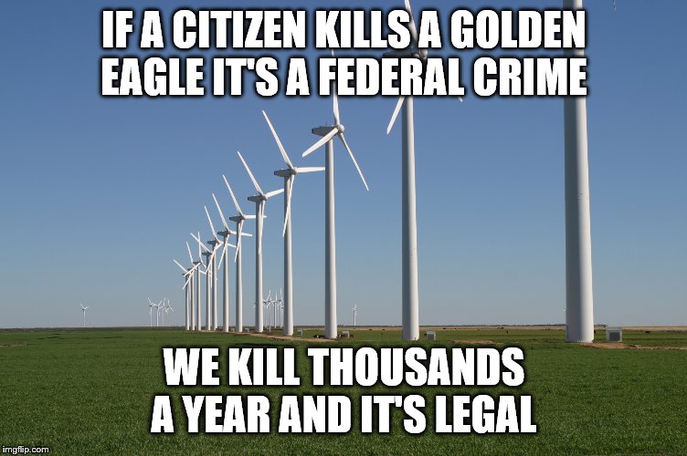 windmill | IF A CITIZEN KILLS A GOLDEN EAGLE IT'S A FEDERAL CRIME; WE KILL THOUSANDS A YEAR AND IT'S LEGAL | image tagged in windmill | made w/ Imgflip meme maker