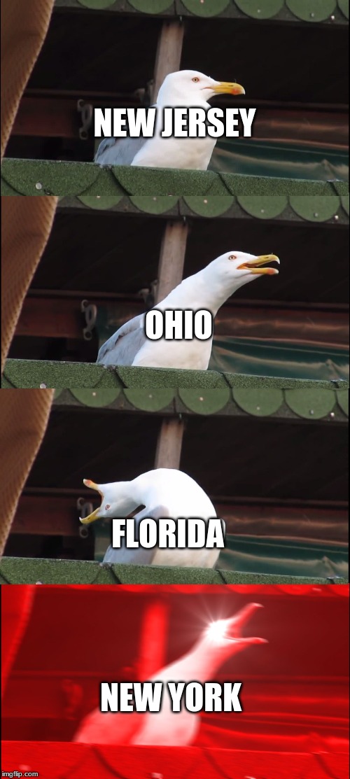 Inhaling Seagull | NEW JERSEY; OHIO; FLORIDA; NEW YORK | image tagged in memes,inhaling seagull | made w/ Imgflip meme maker