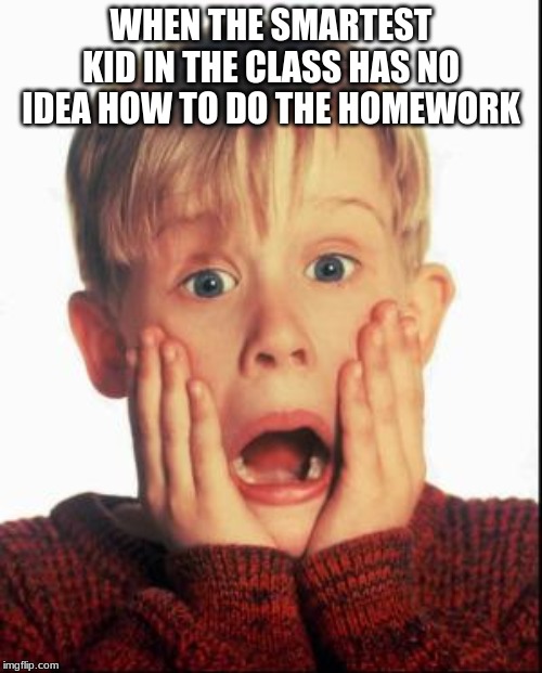 Home Alone Kid  | WHEN THE SMARTEST KID IN THE CLASS HAS NO IDEA HOW TO DO THE HOMEWORK | image tagged in home alone kid | made w/ Imgflip meme maker