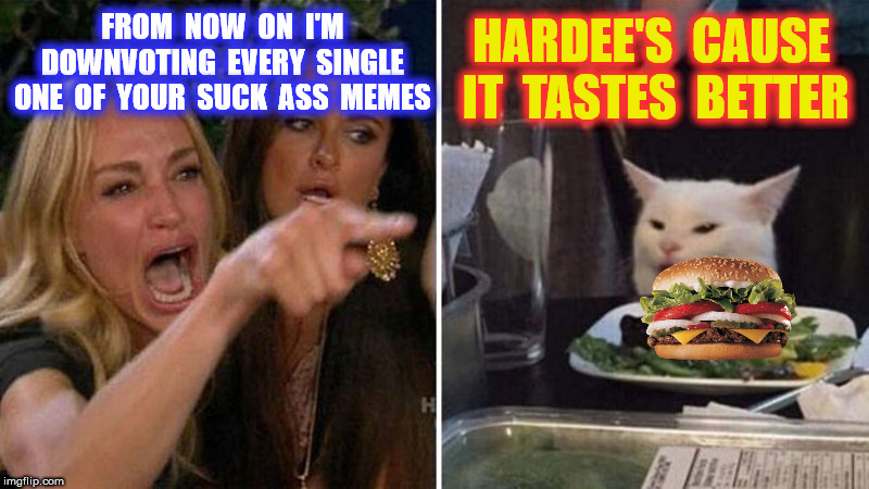 FROM  NOW  ON  I'M  DOWNVOTING  EVERY  SINGLE  ONE  OF  YOUR  SUCK  ASS  MEMES HARDEE'S  CAUSE  IT  TASTES  BETTER | made w/ Imgflip meme maker