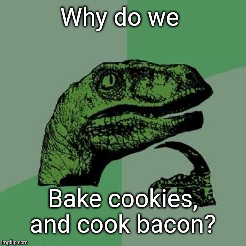 Philosoraptor Meme | Why do we; Bake cookies, and cook bacon? | image tagged in memes,philosoraptor | made w/ Imgflip meme maker