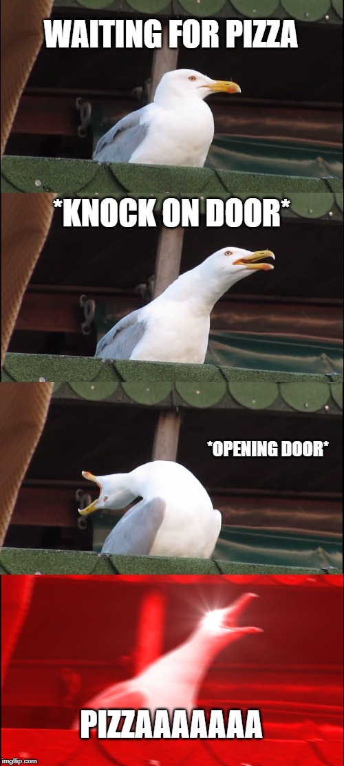 Inhaling Seagull | WAITING FOR PIZZA; *KNOCK ON DOOR*; *OPENING DOOR*; PIZZAAAAAAA | image tagged in memes,inhaling seagull | made w/ Imgflip meme maker