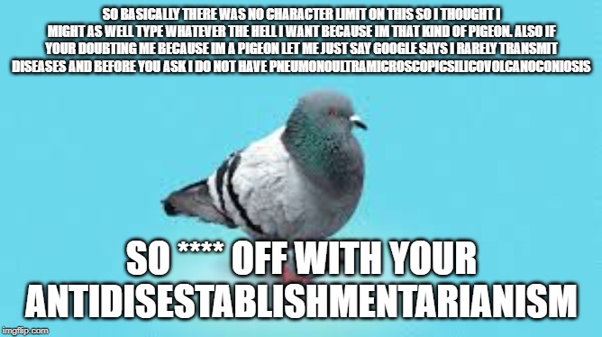 SO BASICALLY THERE WAS NO CHARACTER LIMIT ON THIS SO I THOUGHT I MIGHT AS WELL TYPE WHATEVER THE HELL I WANT BECAUSE IM THAT KIND OF PIGEON. ALSO IF YOUR DOUBTING ME BECAUSE IM A PIGEON LET ME JUST SAY GOOGLE SAYS I RARELY TRANSMIT DISEASES AND BEFORE YOU ASK I DO NOT HAVE PNEUMONOULTRAMICROSCOPICSILICOVOLCANOCONIOSIS; SO **** OFF WITH YOUR ANTIDISESTABLISHMENTARIANISM | image tagged in gaming | made w/ Imgflip meme maker