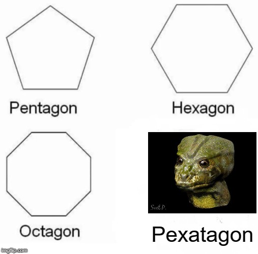 Pentagon Hexagon Octagon Meme | Pexatagon | image tagged in memes,pentagon hexagon octagon | made w/ Imgflip meme maker