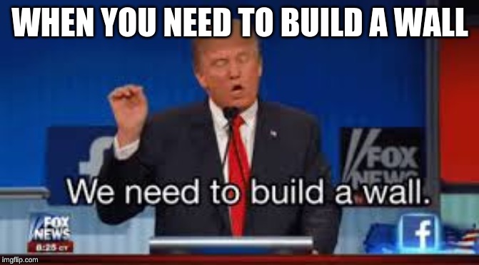 We need to build a wall | WHEN YOU NEED TO BUILD A WALL | image tagged in donald trump | made w/ Imgflip meme maker