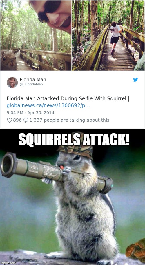 SQUIRRELS ATTACK! | image tagged in memes,bazooka squirrel,funny,selfie,florida man | made w/ Imgflip meme maker