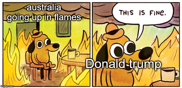 This Is Fine Meme | australia going up in flames; Donald trump | image tagged in this is fine dog | made w/ Imgflip meme maker