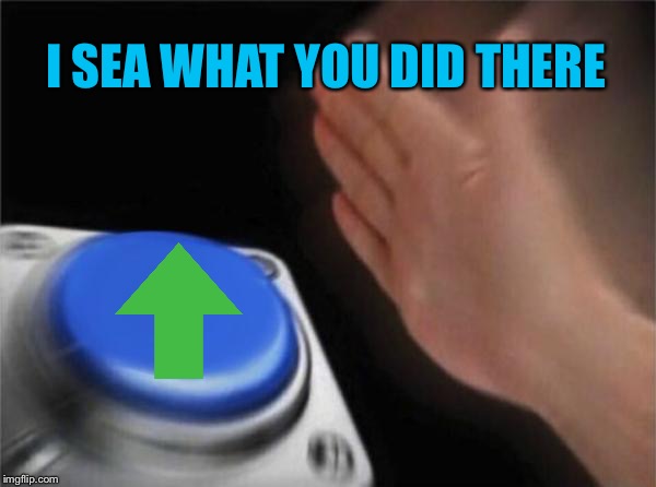 Blank Nut Button Meme | I SEA WHAT YOU DID THERE | image tagged in memes,blank nut button | made w/ Imgflip meme maker