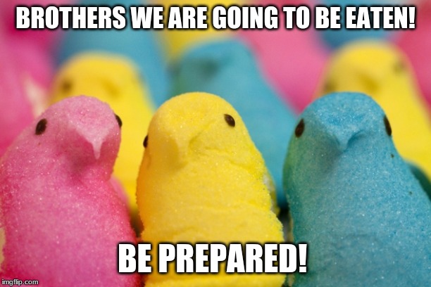 Peeps | BROTHERS WE ARE GOING TO BE EATEN! BE PREPARED! | image tagged in peeps | made w/ Imgflip meme maker