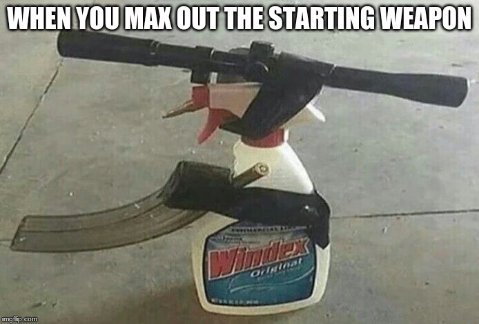 WHEN YOU MAX OUT THE STARTING WEAPON | image tagged in windex | made w/ Imgflip meme maker