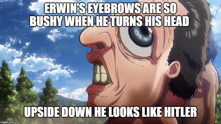 Attack on titan | ERWIN'S EYEBROWS ARE SO BUSHY WHEN HE TURNS HIS HEAD; UPSIDE DOWN HE LOOKS LIKE HITLER | image tagged in attack on titan | made w/ Imgflip meme maker