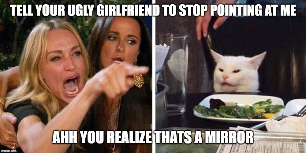 Smudge the cat | TELL YOUR UGLY GIRLFRIEND TO STOP POINTING AT ME; AHH YOU REALIZE THATS A MIRROR | image tagged in smudge the cat | made w/ Imgflip meme maker