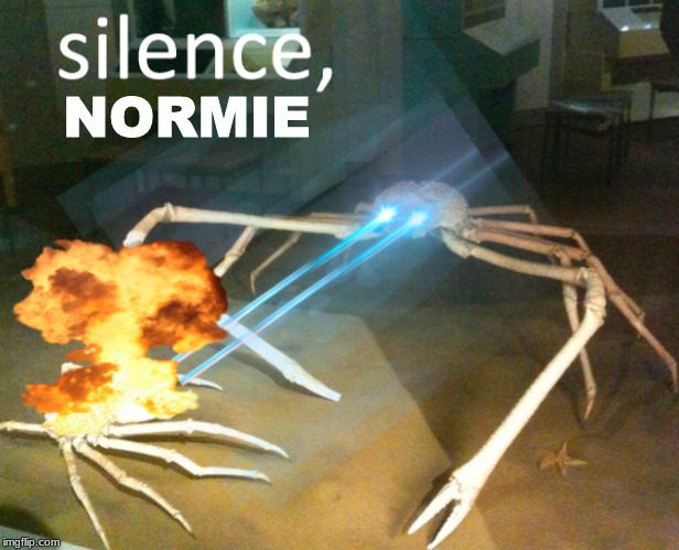 Silence Crab | NORMIE | image tagged in silence crab | made w/ Imgflip meme maker