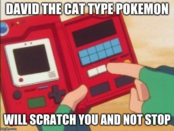 Pokedex | DAVID THE CAT TYPE POKEMON; WILL SCRATCH YOU AND NOT STOP | image tagged in pokedex | made w/ Imgflip meme maker
