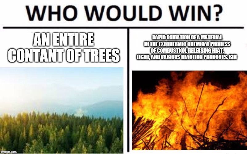 Who Would Win? | AN ENTIRE CONTANT OF TREES; RAPID OXIDATION OF A MATERIAL IN THE EXOTHERMIC CHEMICAL PROCESS OF COMBUSTION, RELEASING HEAT, LIGHT, AND VARIOUS REACTION PRODUCTS. BOI | image tagged in memes,who would win | made w/ Imgflip meme maker