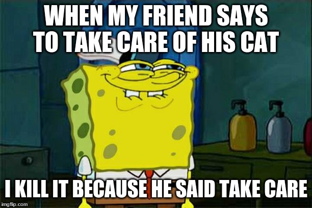 Don't You Squidward | WHEN MY FRIEND SAYS TO TAKE CARE OF HIS CAT; I KILL IT BECAUSE HE SAID TAKE CARE | image tagged in memes,dont you squidward | made w/ Imgflip meme maker